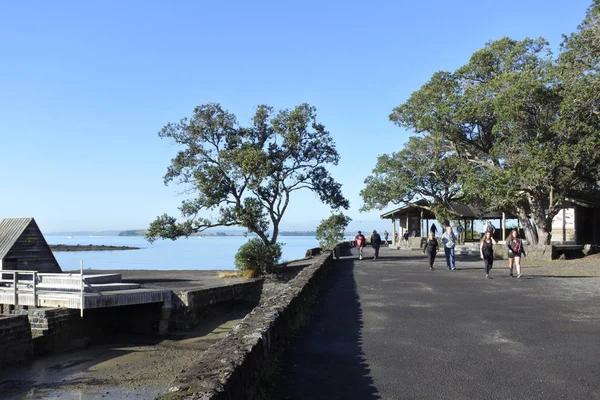 Los Turistas Trekking Isla Volcánica Rangitoto Hito Icónico Auckland Nueva — Foto de Stock