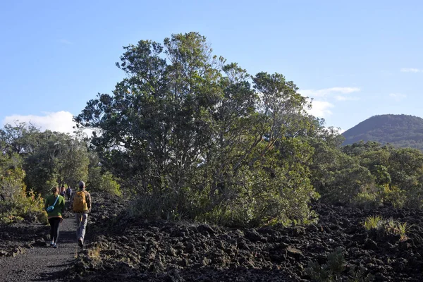 Toeristen Wandelen Tot Aan Top Van Rangitoto Vulkanische Eiland Een — Stockfoto