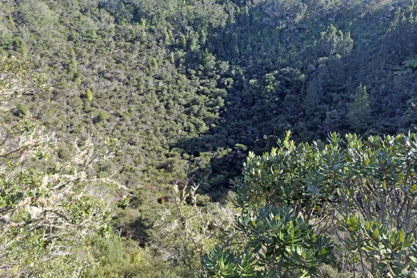 Вид Воздуха Вулканический Кратер Острова Рангитото Новая Зеландия Тропический Лес — стоковое фото