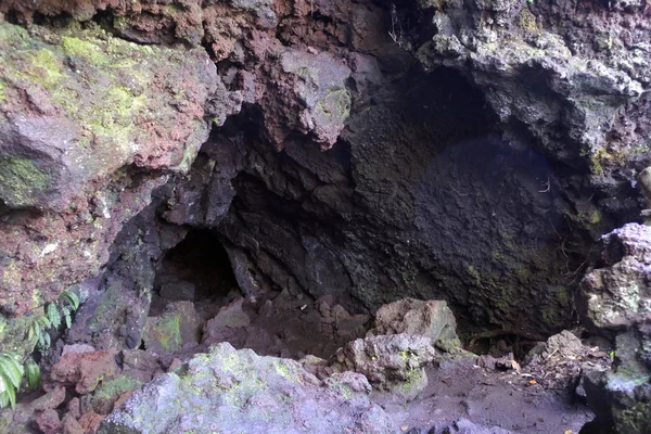 Podziemnej Jaskini Wyspa Rangitoto Pobliżu Auckland Nowa Zelandia — Zdjęcie stockowe