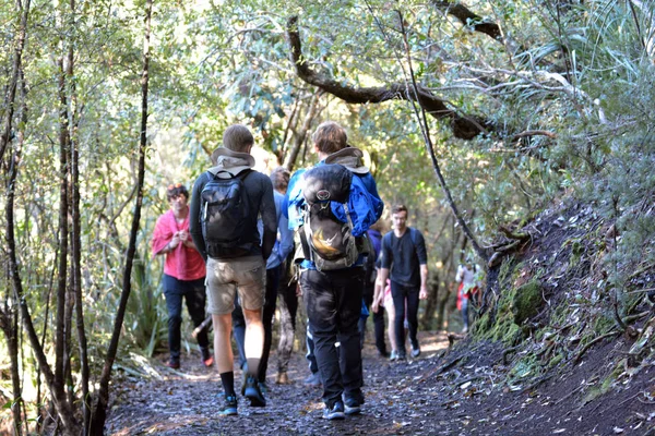 游客在朗伊托托火山岛上徒步旅行 是新西兰奥克兰的标志性地标 — 图库照片