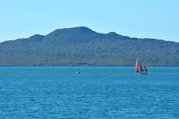 Sail Boat Yacht Sailing Rangitoto Island Hauraki Gulf Auckland Region — Stock Photo, Image