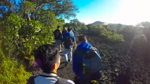 Turystycznych Trekking Rangitoto Wulkanicznego Wyspa Symboliczna Budowla Auckland Nowa Zelandia — Wideo stockowe