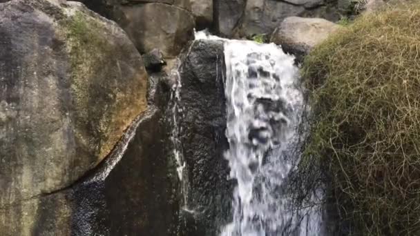 Slow Motion Rock Waterfall Nature Australia — Stock Video