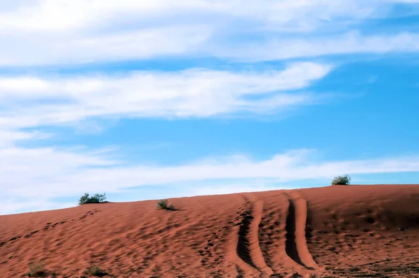 4Wd Trail Marks Red Sand Dune Blue Sky Adventure Road — Stock Photo, Image