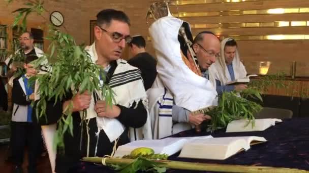 Hommes Juifs Portant Rouleau Torah Priant Dans Synagogue Septième Dernier — Video