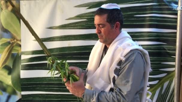 Jewish Man Blessing Four Species Etrog Lulav Hadass Aravah Sukkah — Stock Video