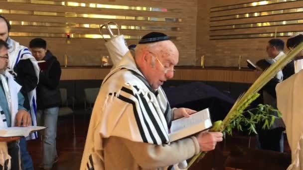 Torah スクロールを旋回し 仮庵の祭り Hoshana アンマンのユダヤ教の祝日祭の 番目と最後の日にシナゴーグの祈りのユダヤ人の男性 — ストック動画