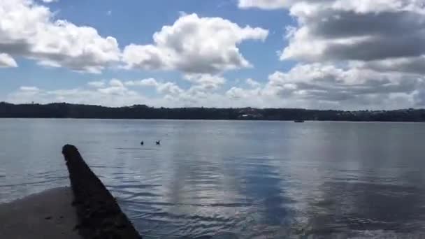 赫恩湾和奥克兰港桥在新西兰奥克兰的时间流逝 — 图库视频影像