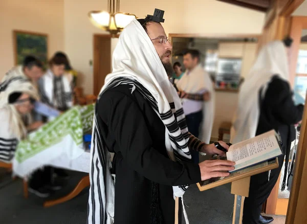 Yahudi Erkekler Birlikte Tevrat Dua Tevrat Okuma Yahudi Yaşam Için — Stok fotoğraf