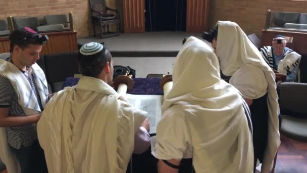 Auckland Nov 2018 Jewish Men Reading Praying Torah Scroll Чтение — стоковое видео