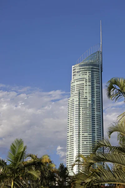 黄金海岸 2008年11月25日 澳大利亚昆士兰州黄金海岸冲浪者天堂的 摩天大楼 它是澳大利亚和南半球最高的建筑 — 图库照片
