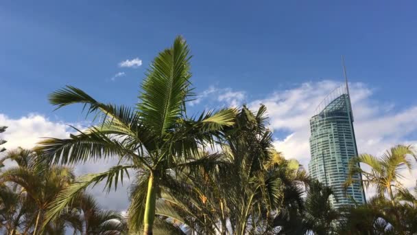 Gold Coast Nov 2018 Skyscraper Surfers Paradise Gold Coast Queensland — Stock Video