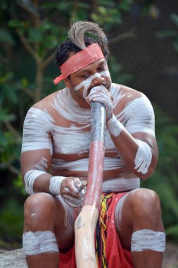 Yerli adam didgeridoo, enstrüman Queensland, Avustralya Aborjin müzik oynamak.