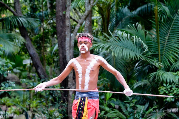 Mladých Dospělých Domorodých Australianman Drží Kopí Queensland Austrálie — Stock fotografie