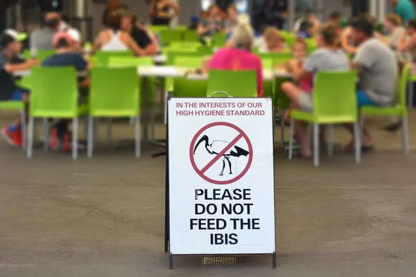 Please Don Feed Het Ibis Teken Een Gemeenschappelijke Eetplaats Queensland — Stockfoto