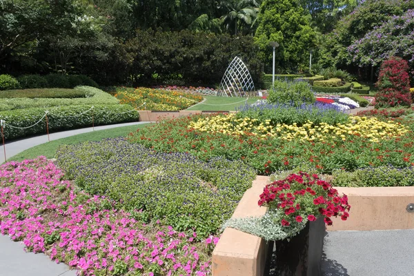 ブリスベーン クイーンズランド オーストラリアのローマ ストリート パークランドに咲く庭の花 — ストック写真