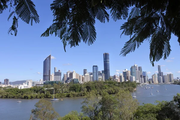 Landscape View Brisbane Capital City Queensland State Kangaroo Point Brisbane — Stock Photo, Image