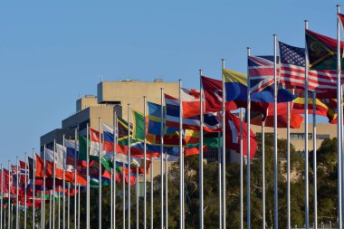 Uluslararası bayrağı ekran Canberra parlamenter bölge au