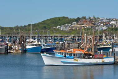 Balıkçı tekneleri Coffs Harbour Nsw Avustralya