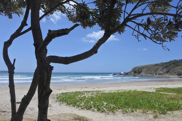 Zümrüt beach yeni Güney wales Avustralya — Stok fotoğraf