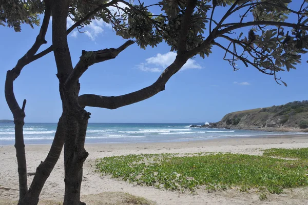 Emerald beach, Nový Jižní wales, Austrálie — Stock fotografie