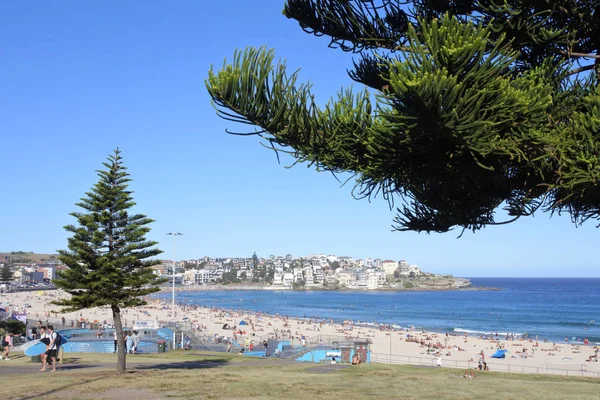 Bondi Beach v Sydney, Nový Jižní Wales, Austrálie — Stock fotografie