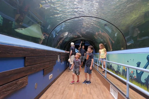 Acuario Sea Life en Sydney Nueva Gales del Sur Australia — Foto de Stock