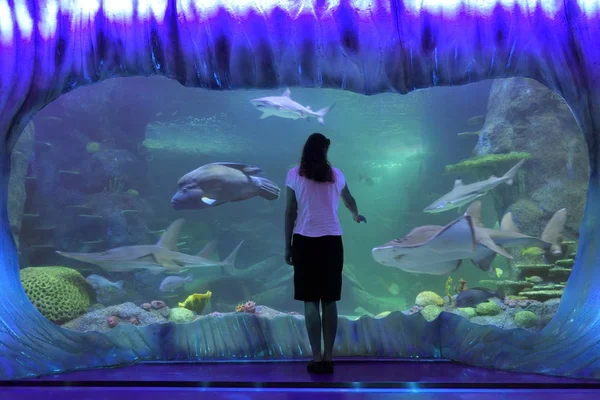 Γυναίκα που βλέπουν τους καρχαρίες στο ενυδρείο θαλάσσιας ζωής στο Σίδνεϊ, Νέα Νότια — Φωτογραφία Αρχείου