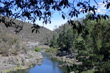 Katarakt Gorge Launceston Tasmanya Avustralya