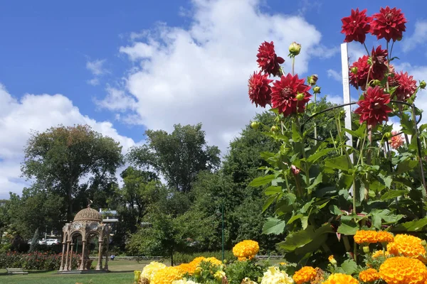 Victoria park a Launceston Tasmania Australia — Foto Stock