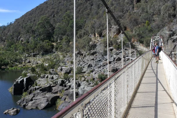 Turystyczna przekraczających most wiszący Alexandra Tasmania Austral — Zdjęcie stockowe