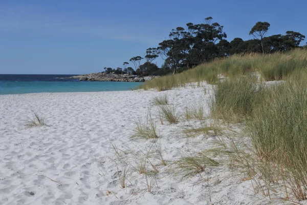 澳大利亚塔斯马尼亚大火湾的白色沙滩 — 图库照片