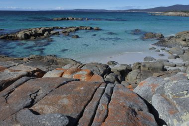 Yangınlar Bay Tazmanya Avustralya manzara