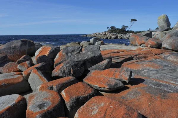 Paisagem da Baía de Fogo Tasmânia Austrália — Fotografia de Stock