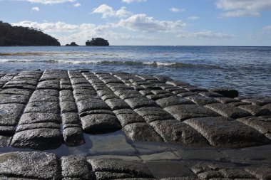 Tasman Yarımadası Tasmania Avustralya 'da mozaik kaldırım