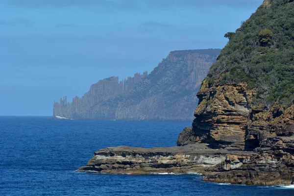 Sea Cliffs en el Parque Nacional de Tasmania Tasman Peninsula Tasmania Au —  Fotos de Stock