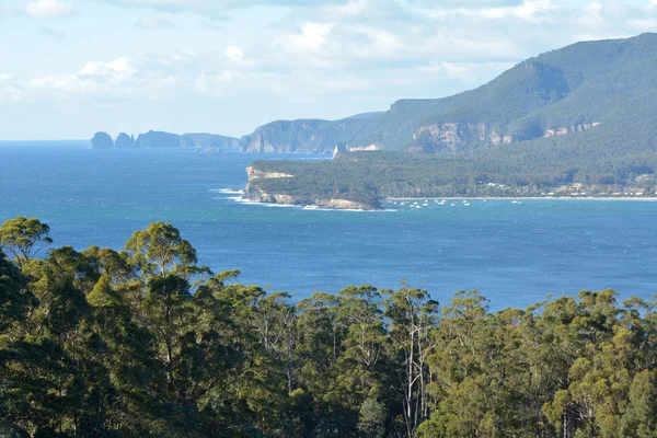 Pavimento Teselado en la Península de Tasmania Tasmania Australia —  Fotos de Stock