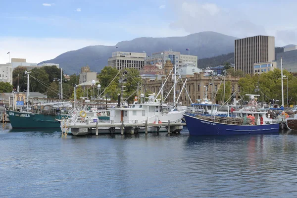 Barcos de pesca en el muelle Constitución en Hobart la ciudad capital de —  Fotos de Stock