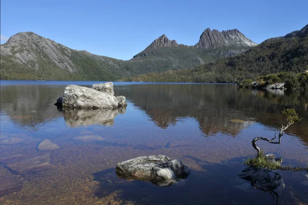Cradle Mountain-Lake St Clair Ulusal Parkı Tasmania Avustralya — Stok fotoğraf