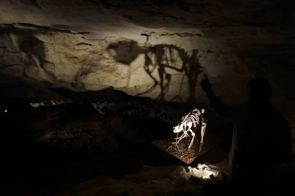 Tour guide explaining about Victoria Fossil Cave in Naracoorte C — Stock Photo, Image