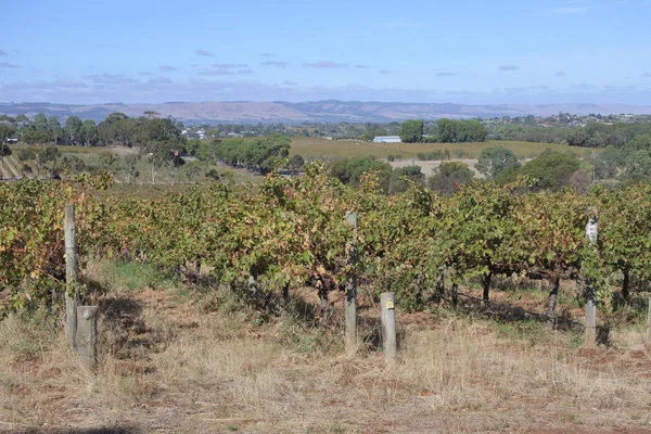 Landschapsweergave van Inman Valley South Australia State, Australië — Stockfoto