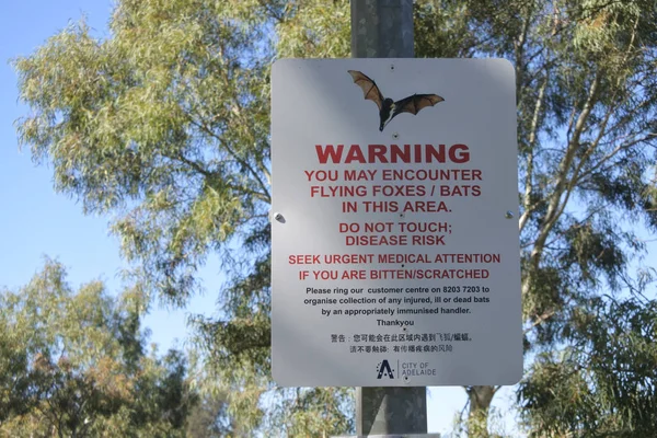 Flying Foxes Bats Warning sign — Stock Photo, Image