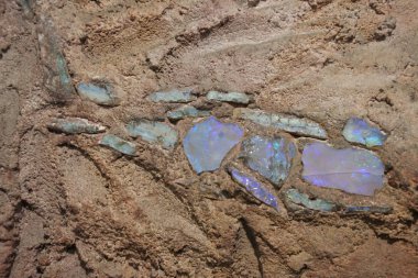Bir Sanstone içinde Opal taşlar