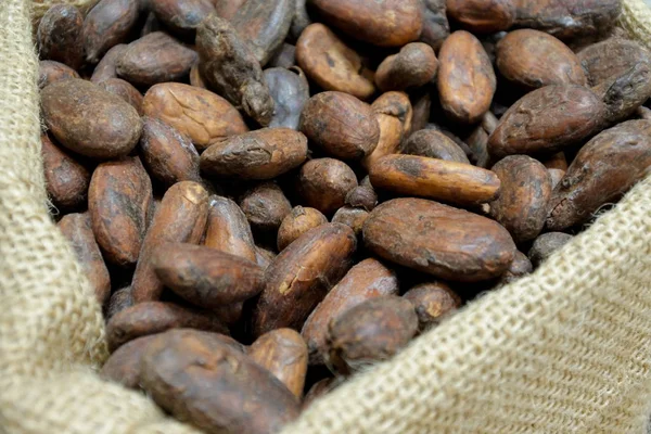 Tosty z ziaren kakaowca — Zdjęcie stockowe
