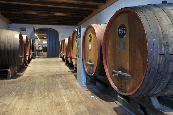Large wine barrels in vinyared in Barossa Valley in South Austra — Stock Photo, Image