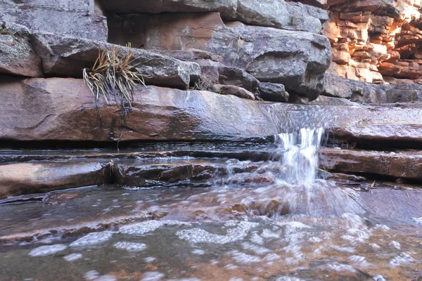 Φρέσκο νερό σε φαράγγι αλιγάτορα στο εθνικό πάρκο του βουνού — Φωτογραφία Αρχείου