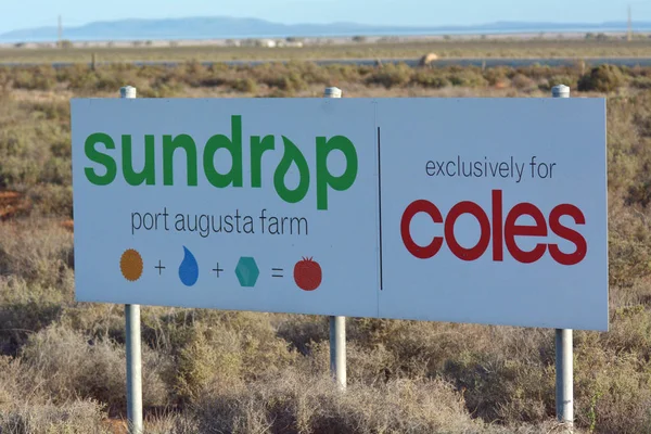 Farmy sundrop Port Augusta Jižní Austrálie — Stock fotografie
