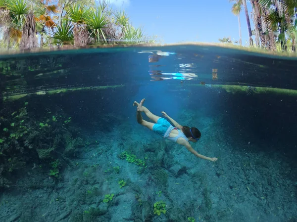 Bitter Springs vicino a Mataranka nel Territorio del Nord, Australia — Foto Stock