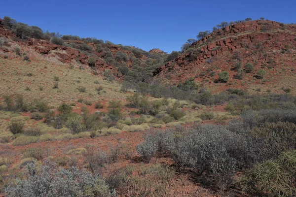 Kings Canyon in the Northern Territory Australia